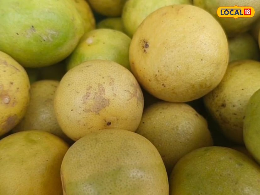 आयुर्वेदिक डॉक्टर सुनीता सोनल धामा सांगतात की, लिंबू हे असं फळ आहे जे बारमाही सहज मिळतं. विशेष म्हणजे लिंबू व्हिटॅमिन सीने परिपूर्ण असतं आणि त्यामुळे अन्नपचन सुरळीत होतं. 