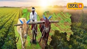 राज्यात