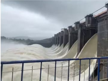 मराठवाड्यात पावसाची काय स्थिती? पिकांचं नुकसान झालंच, आता गुरांमध्ये पसरतोय आजार मराठवाड्यात पावसाची काय स्थिती? पिकांचं नुकसान झालंच, आता गुरांमध्ये पसरतोय आजार