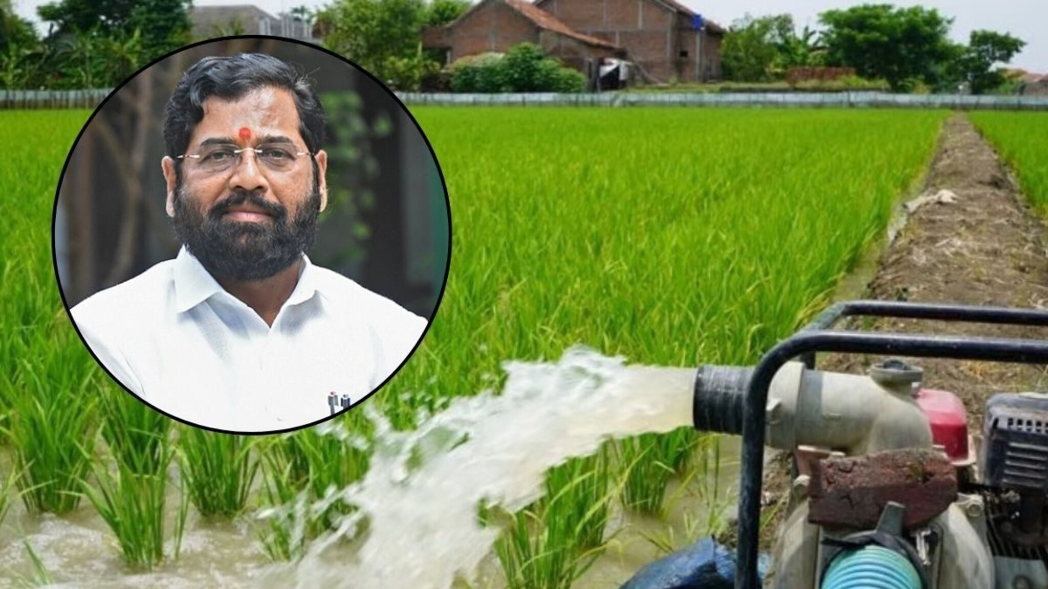 Govt Scheme: बळीराजासाठी खूशखबर! 'या' शेतीपंप ग्राहकांना शासनाकडून मोफत वीज