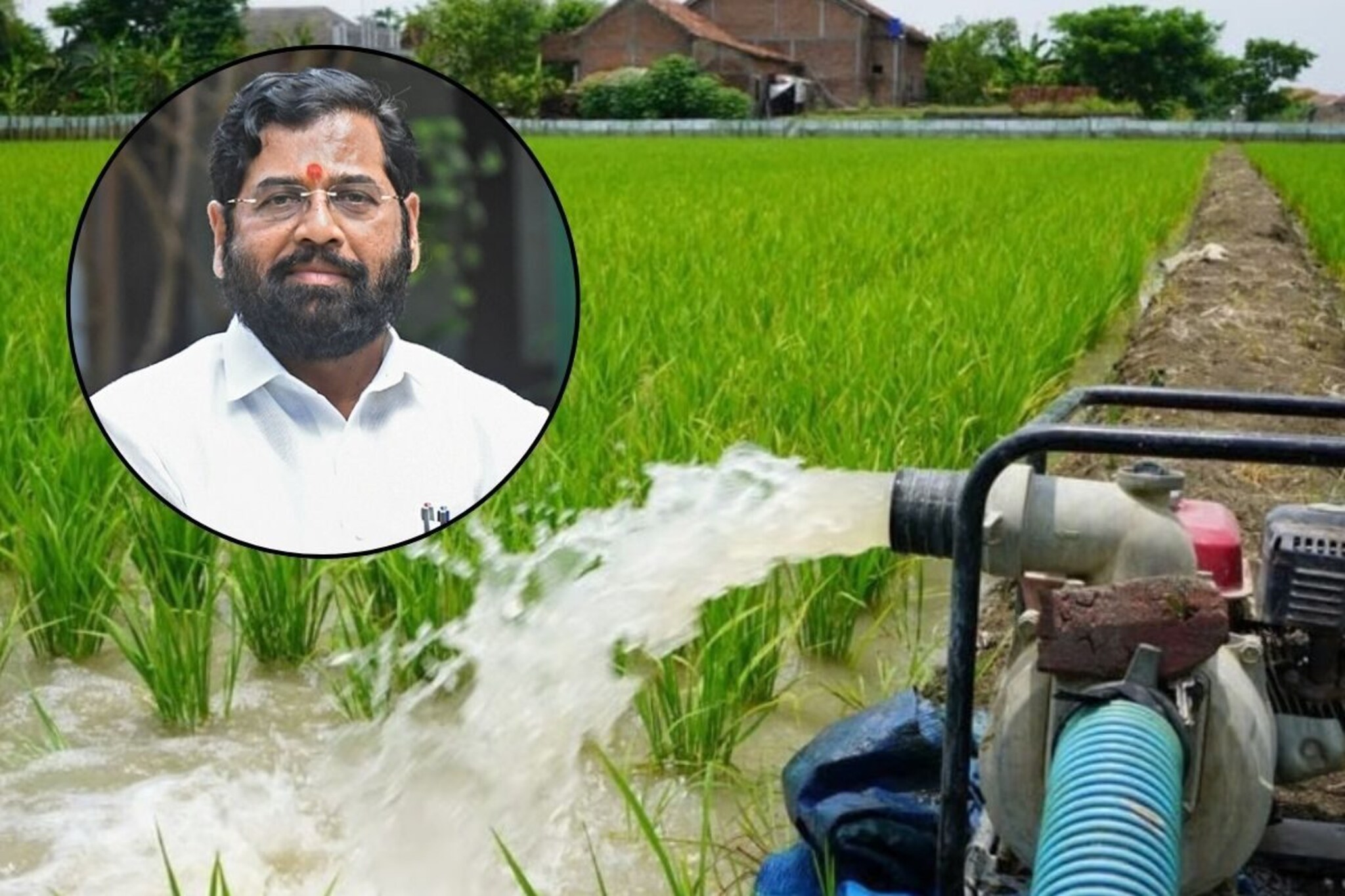 Govt Scheme: बळीराजासाठी खूशखबर! 'या' शेतीपंप ग्राहकांना शासनाकडून मोफत वीज