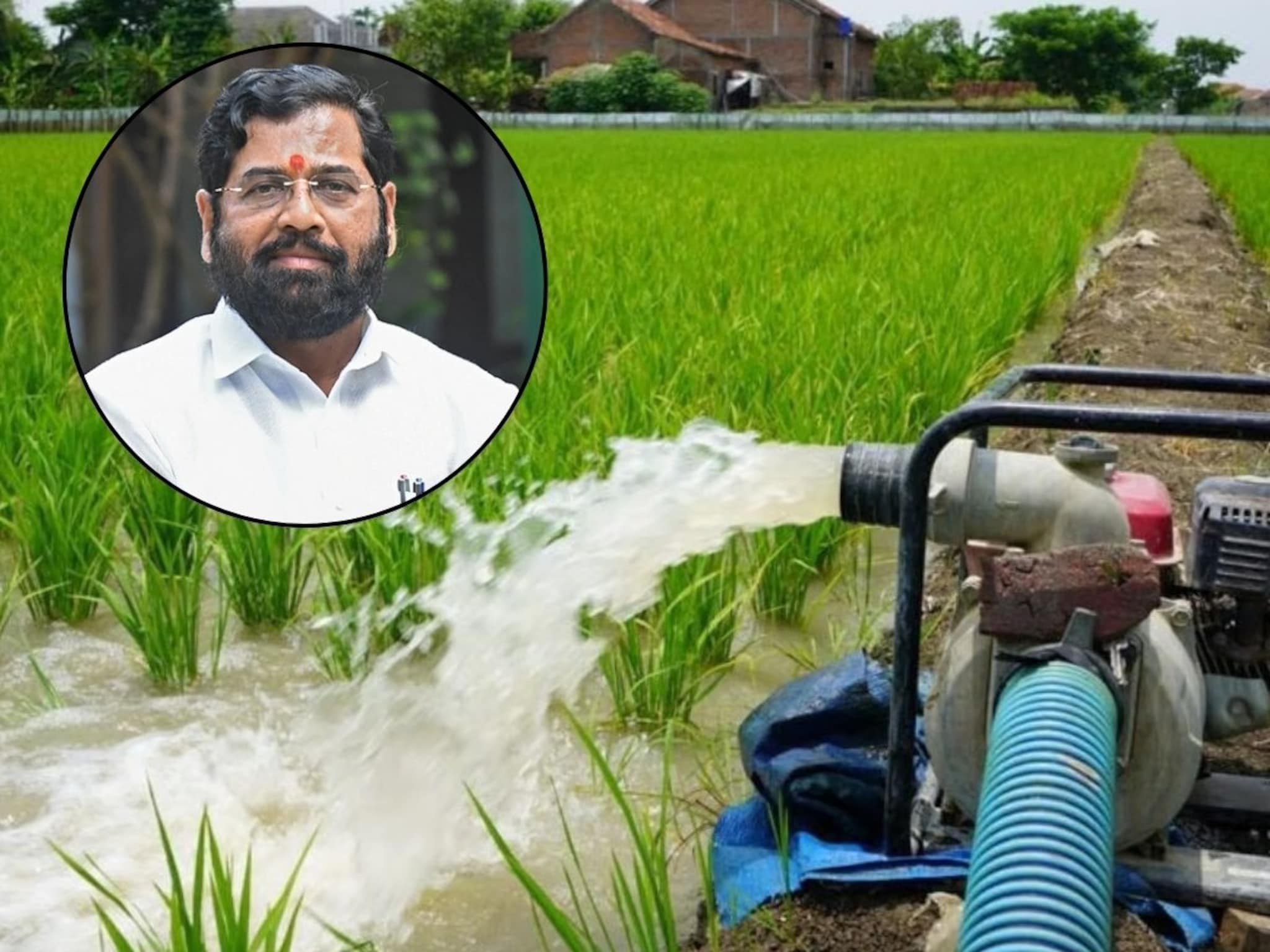 Govt Scheme: बळीराजासाठी खूशखबर! 'या' शेतीपंप ग्राहकांना शासनाकडून मोफत वीज
