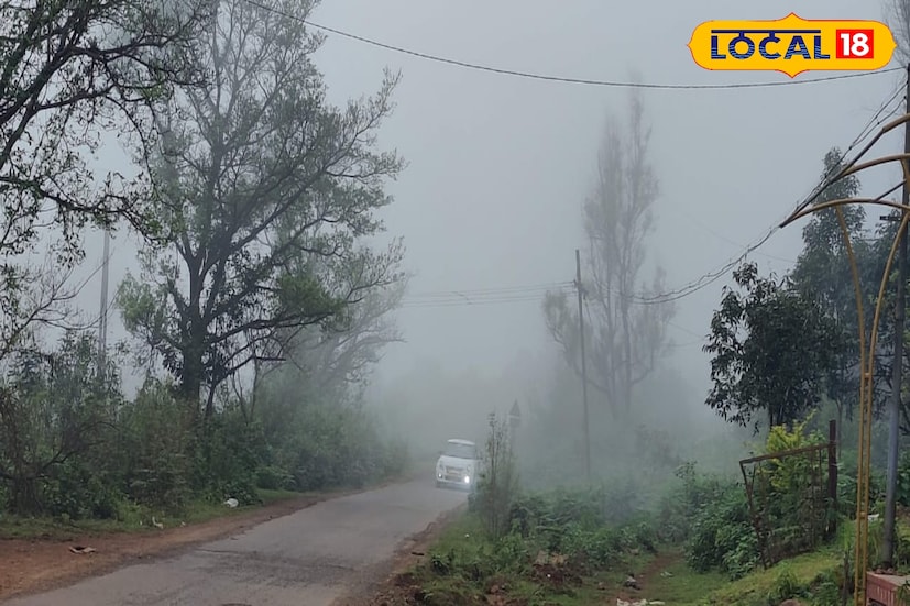 विविधतेने नटलेल्या या पाचगणी महाबळेश्वरमध्ये पर्यटकांना फिरण्यासाठी अनेक ठिकाणे आहेत. पावसाळ्यात या ठिकाणी भेट देणाऱ्या पर्यटकांना आपण महाराष्ट्रात नसून विदेशात आल्याचे अनुभूती देखील होते.