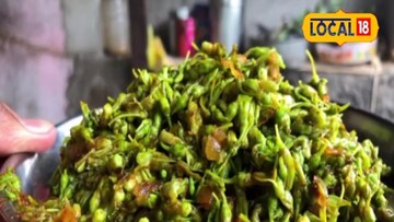 झेटूनीच्या