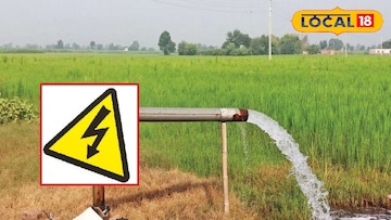 शेतातील