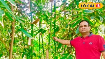 राजशेखर