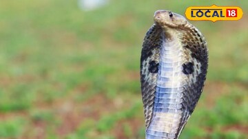 प्रतिकात्मक