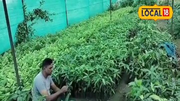 वर्षाकाठी