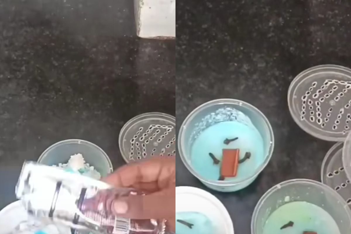 मानसून में नमक का उपयोग करते समय आराम महसूस करें; दूर हो जाती है ये परेशानी मानसून में नमक का उपयोग करते समय आराम महसूस करें; दूर हो जाती है ये परेशानी