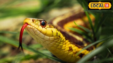 महाराष्ट्रातील