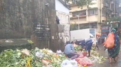 कचऱ्यातले टोमॅटो विक्रीसाठी कचऱ्यातले टोमॅटो विक्रीसाठी