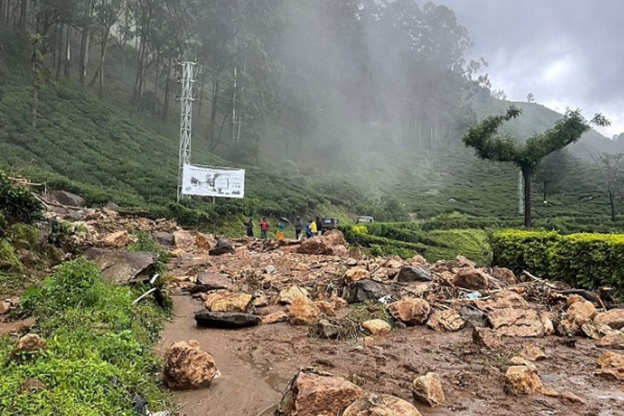 केरळच्या वायनाडमध्ये निसर्ग कोपला, भुस्खलनामुळे आतापर्यंत 93 जणांचा मृत्यू