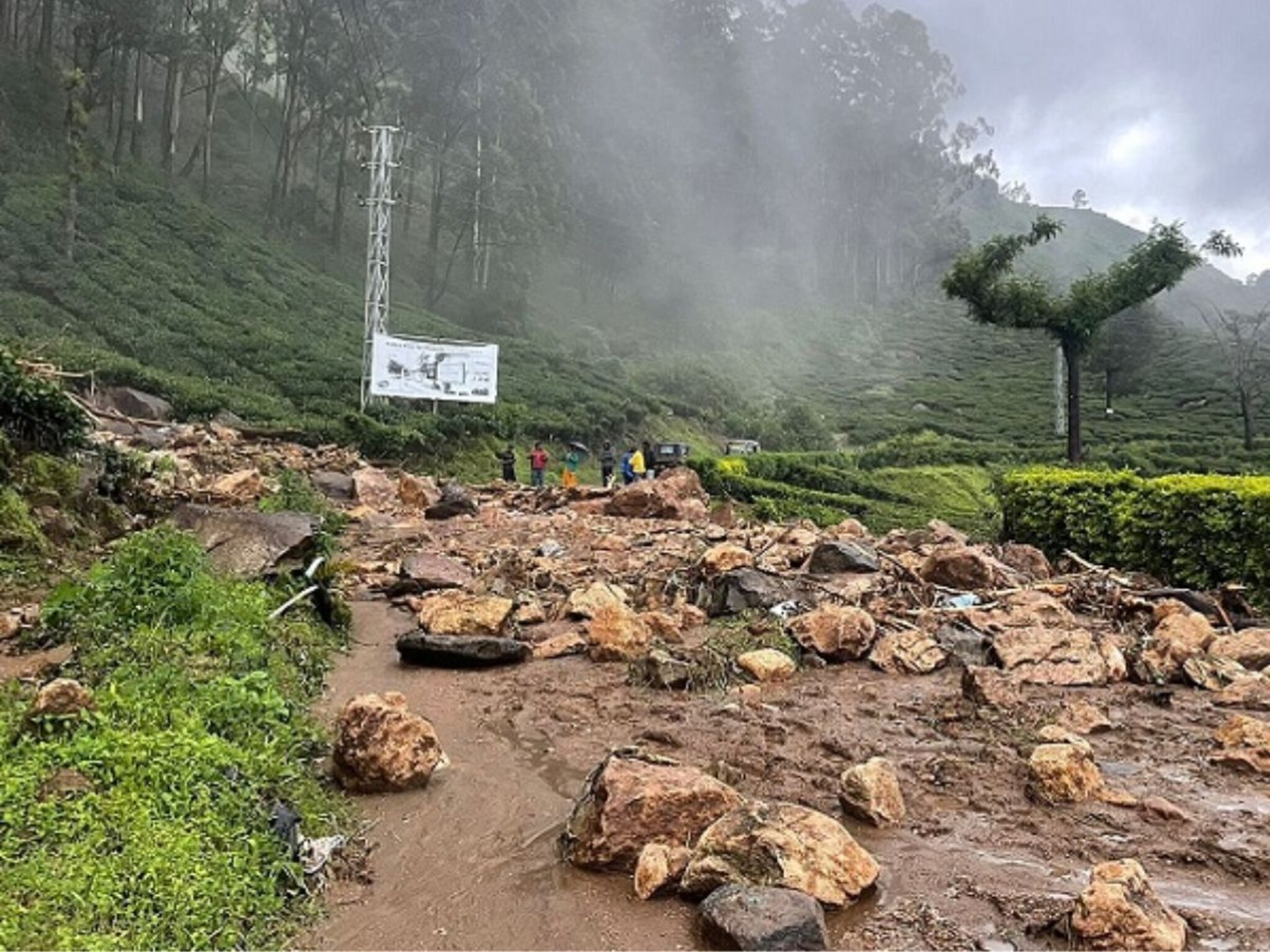 Kerala Landslide: केरळच्या वायनाडमध्ये निसर्ग कोपला, भुस्खलनामुळे आतापर्यंत 93 जणांचा मृत्यू
