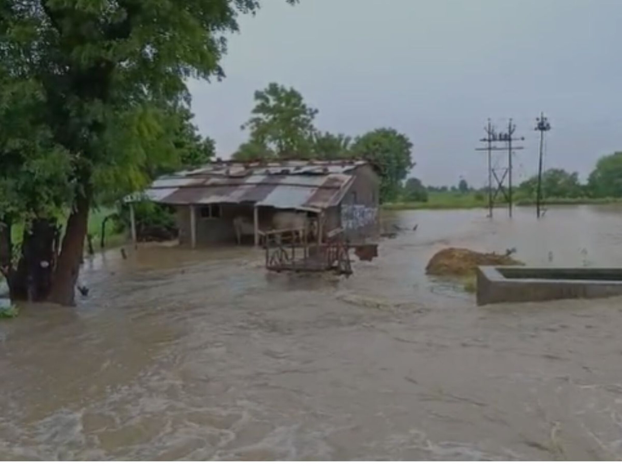 Rain and Flood: वर्धा जिल्ह्यात भयंकर पाऊस, दुष्काळी भागातील घरं पाण्यात बुडाली...