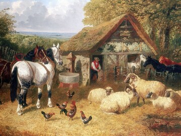 General Knowledge : अंडी आणि दूध दोन्ही देतो असा प्राणी, तो कोण माहितीये? General Knowledge : अंडी आणि दूध दोन्ही देतो असा प्राणी, तो कोण माहितीये?