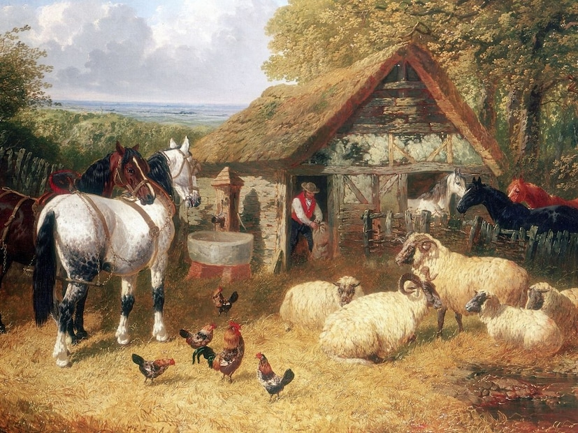 आजवर तुम्ही बरेच प्राणी पाहिले आहेत, त्या प्राण्यांबाबत तुम्हाला माहिती आहे. काही प्राणी दूध देतात तर काही प्राणी अंडी. आजवर तुम्ही बरेच प्राणी पाहिले आहेत, त्या प्राण्यांबाबत तुम्हाला माहिती आहे. काही प्राणी दूध देतात तर काही प्राणी अंडी.