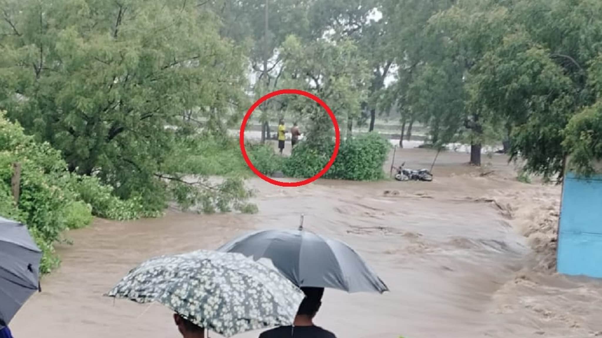 बुलढाण्यात ढगफुटीसदृश्य पाऊस, शेतात गेलेले बापलेक पुरात अडकले; PHOTO आले समोर