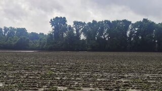 शेतातून रात्रंदिवस यायचे आवाज