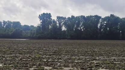 शेतातून रात्रंदिवस यायचे आवाज शेतातून रात्रंदिवस यायचे आवाज