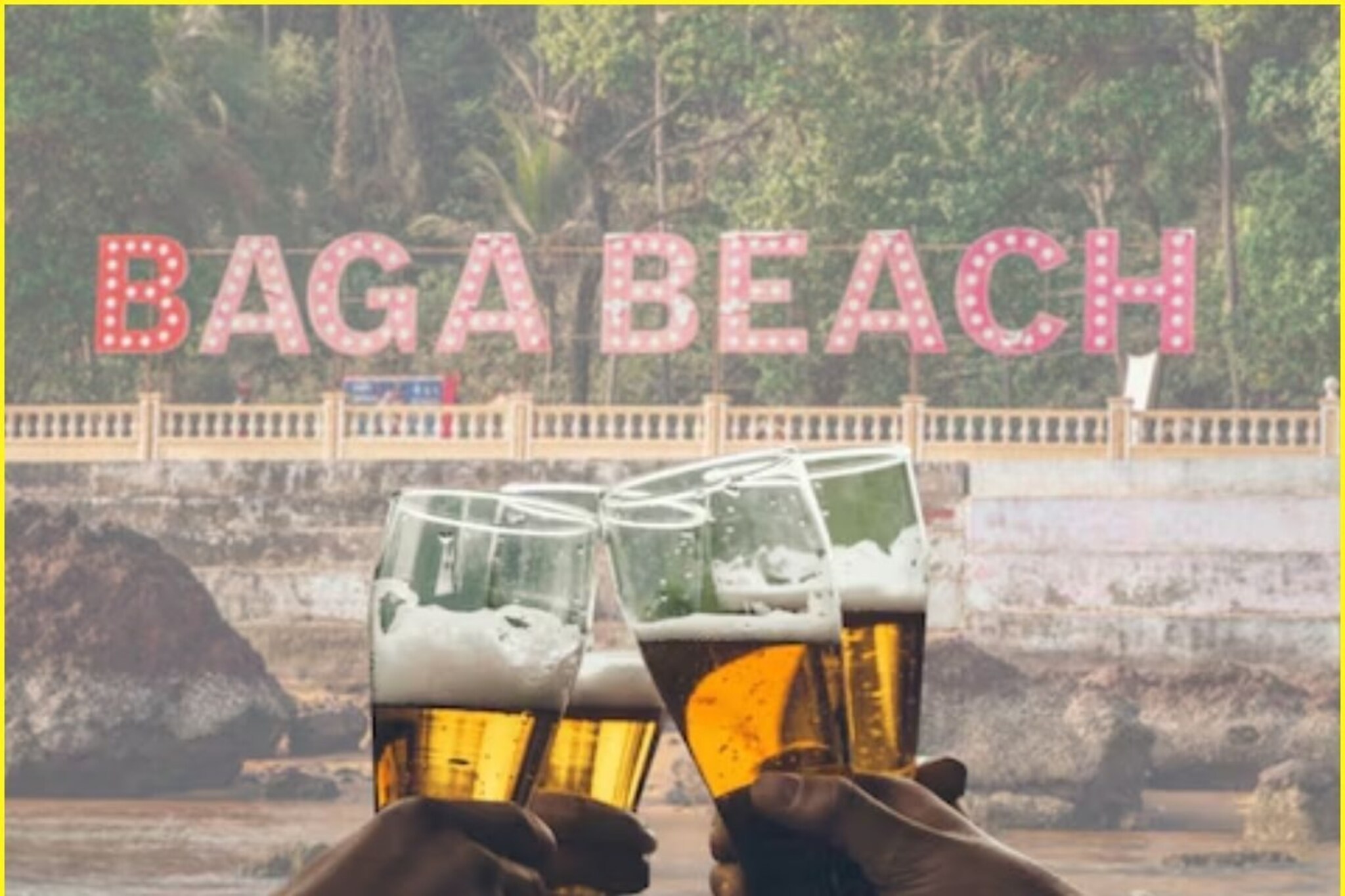 गोव्यात दारू बंद होणार? विधानसभेतील चर्चेदरम्यान झाला असा निर्णय