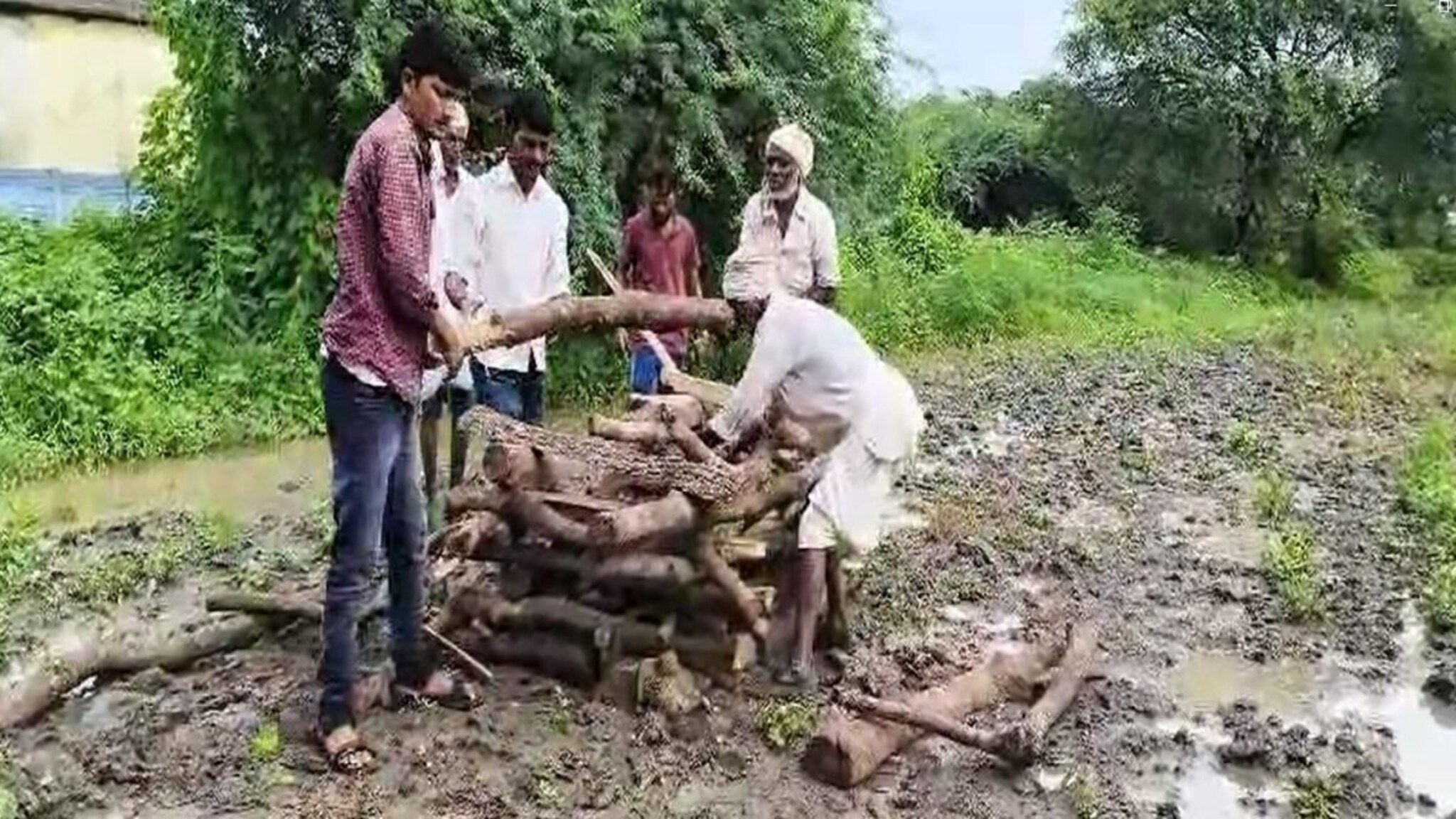मरणानंतरही यातना संपेना! चिखलात उरकले अंत्यसंस्कार, हृदय पिळवटून टाकणारा VIDEO