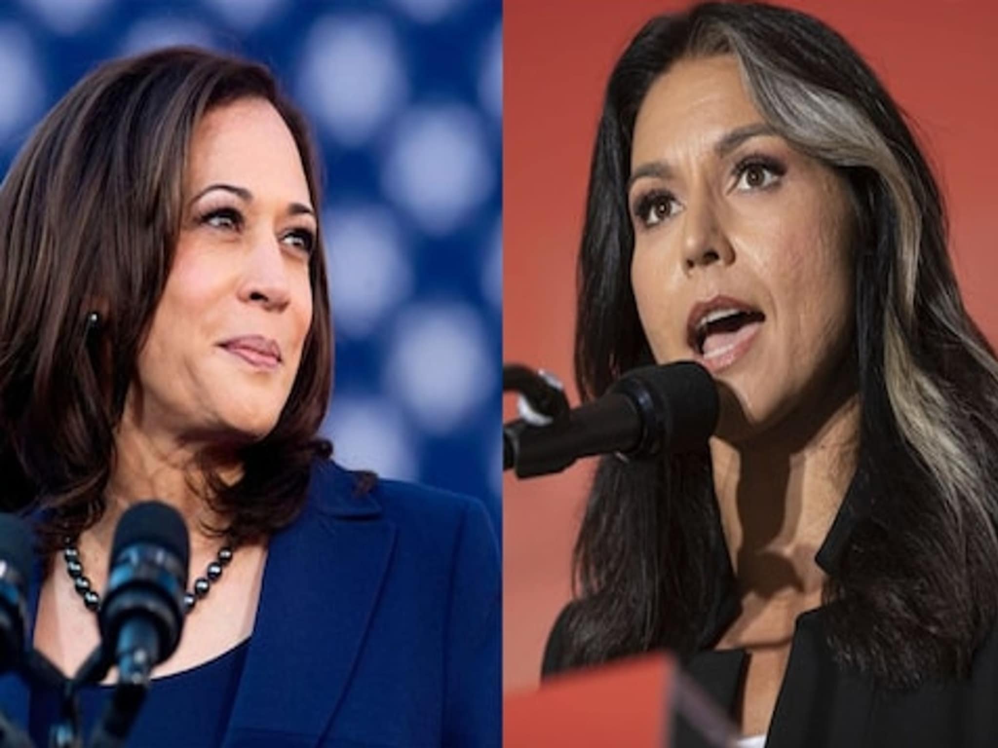 American Presidential Election : 'कमला हॅरिस क्लिंटनच्या नोकर', अमेरिकेच्या महिला खासदाराचं वादग्रस्त वक्तव्य
