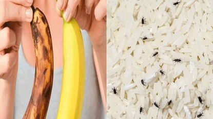 14 दिवस केळी राहतील ताजी, तांदळाला नाही लागणार कीड, वापरा फक्त 3 किचन टिप्स