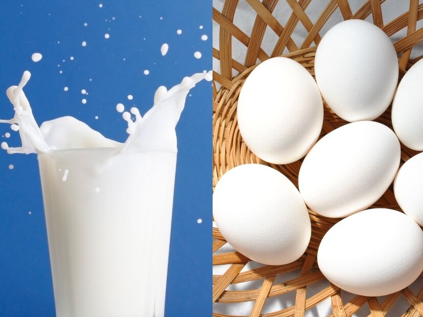 अंडी आणि दूध देणारे आणखी कोणते प्राणी तुम्हाला माहिती असतील तर आम्हाला आमच्या सोशल मीडियाच्या कमेंट बॉक्समध्ये नक्की सांगा.