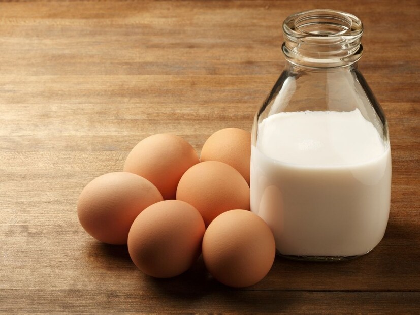 पण एक असा प्राणी आहे जो अंडी आणि दूध दोन्ही देतो. तो प्राणी कोण हे तुम्हाला माहिती आहे का?