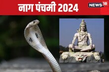 नागपंचमीला कालसर्प दोषातून मुक्त व्हा; या पद्धतीने पूजा केल्यास दिसेल परिणाम