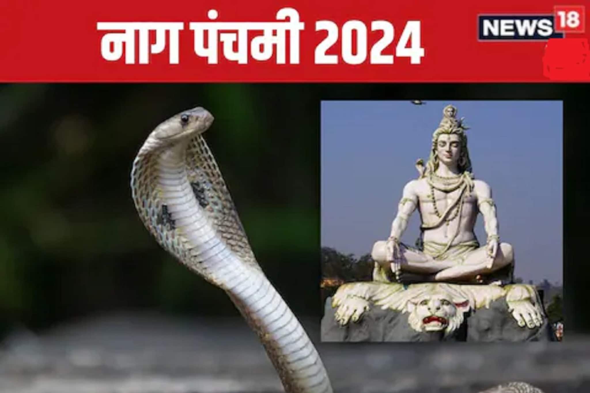 नागपंचमीला कालसर्प दोषातून मुक्त व्हा; या पद्धतीने पूजा केल्यास दिसेल परिणाम