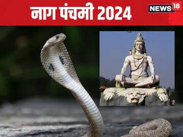 जीवनात पुन्हा येईल आनंद! नागपंचमीच्या दिवशी या उपायांनी कायमचा घालवा कालसर्प दोष जीवनात पुन्हा येईल आनंद! नागपंचमीच्या दिवशी या उपायांनी कायमचा घालवा कालसर्प दोष
