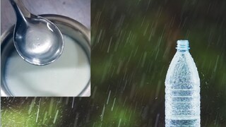 दुधात पावसाचं पाणी टाकताच 'चमत्कार'