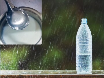 दुधात पावसाचं पाणी टाकताच 'चमत्कार'