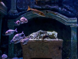 समुद्रात दिसलं आलिशान शहर समुद्रात दिसलं आलिशान शहर