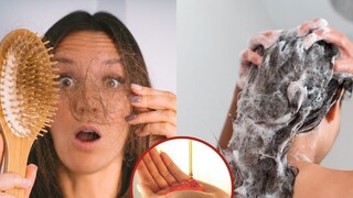 केस खूप गळतायत? मग शॅम्पूमध्ये मिक्स करून लावा 'या' गोष्टी, केस होतील लांब आणि मजबूत केस खूप गळतायत? मग शॅम्पूमध्ये मिक्स करून लावा 'या' गोष्टी, केस होतील लांब आणि मजबूत