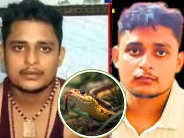 विकासला 7 वेळा खरंच चावला साप? 