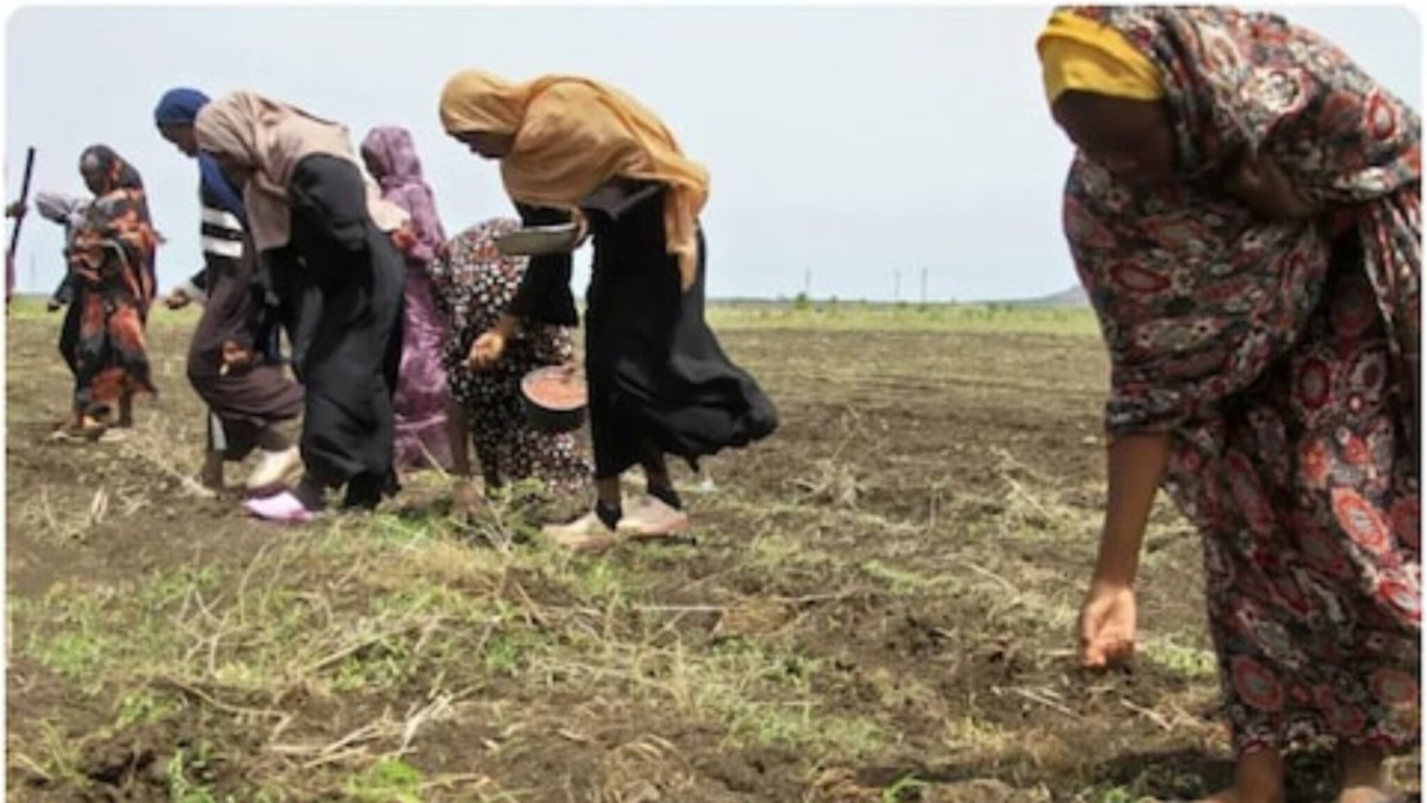 पोट भरण्यासाठी सैनिकांसोबत लैंगिक संबंध, नकार दिला तर...महिलेनं सांगितलं भयाण वास्तव