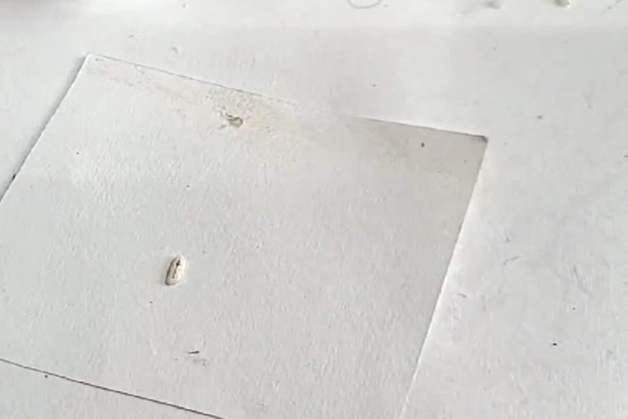 तांदळाच्या एका दाण्यावर साकारली विठुरायाची कलाकृती, पाहा VIDEO 