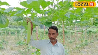 पाणी साचून पिकांचं नुकसान होण्याची भीती अजिबात नाही.