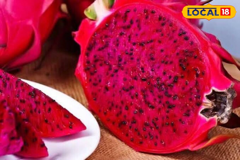 ड्रॅगन फ्रुटमध्ये आरोग्यपयोगी जीवनसत्त्व आणि खनिजं भरपूर असतात, तर यात कॅलरीजचं प्रमाण कमी असतं. तसंच यात फ्लेव्होनॉइड्स, फिनोलिक्स, इत्यादी अँटिऑक्सिडंट्स असतात. ज्यामुळे शरिराचं विविध आजारांपासून रक्षण होतं. सर्वात महत्त्वाचं म्हणजे ड्रॅगन फ्रूटमुळे रक्तातली साखरेची पातळी नियंत्रित राहण्यास मदत मिळते.