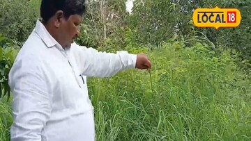 शशिकांत