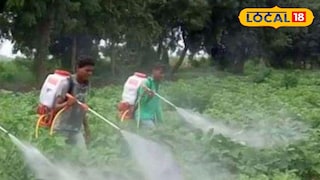 अर्ज करण्याची शेवटची तारीख 14 ऑगस्ट 2024 आहे.