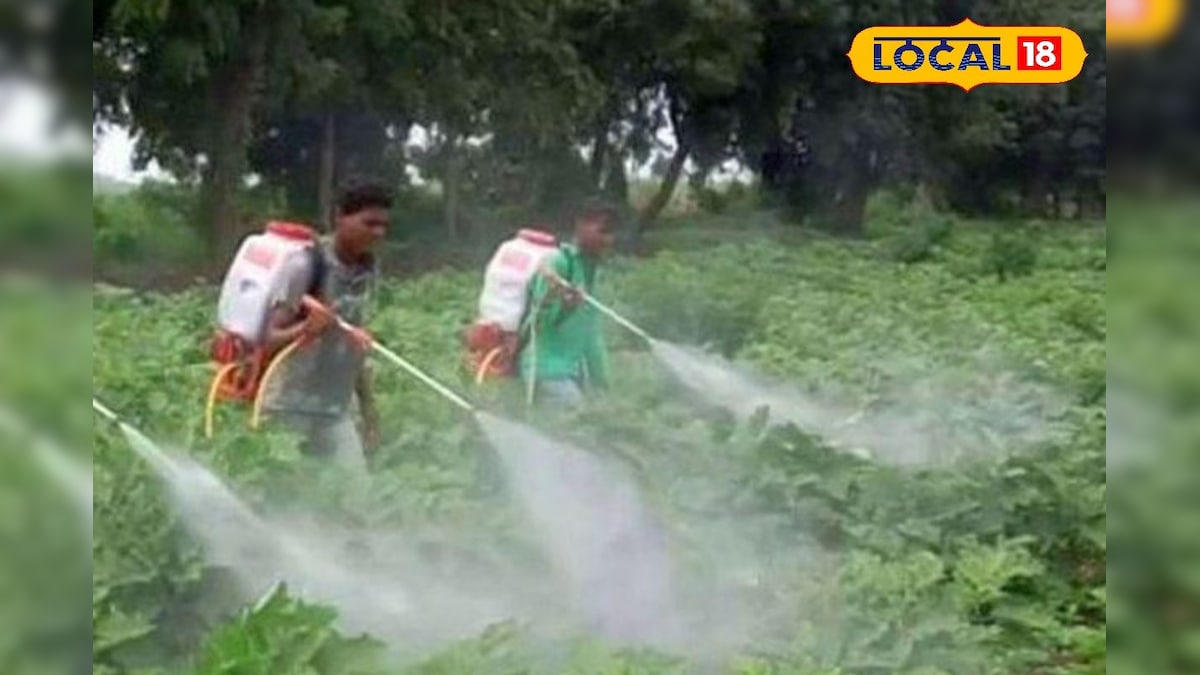 किसानों को 100 प्रतिशत अनुदान पर मिले बैटरी स्प्रे पंप, करें आवेदन!