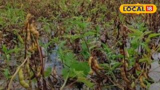 शेतकऱ्यांसाठी महत्त्वाची माहिती