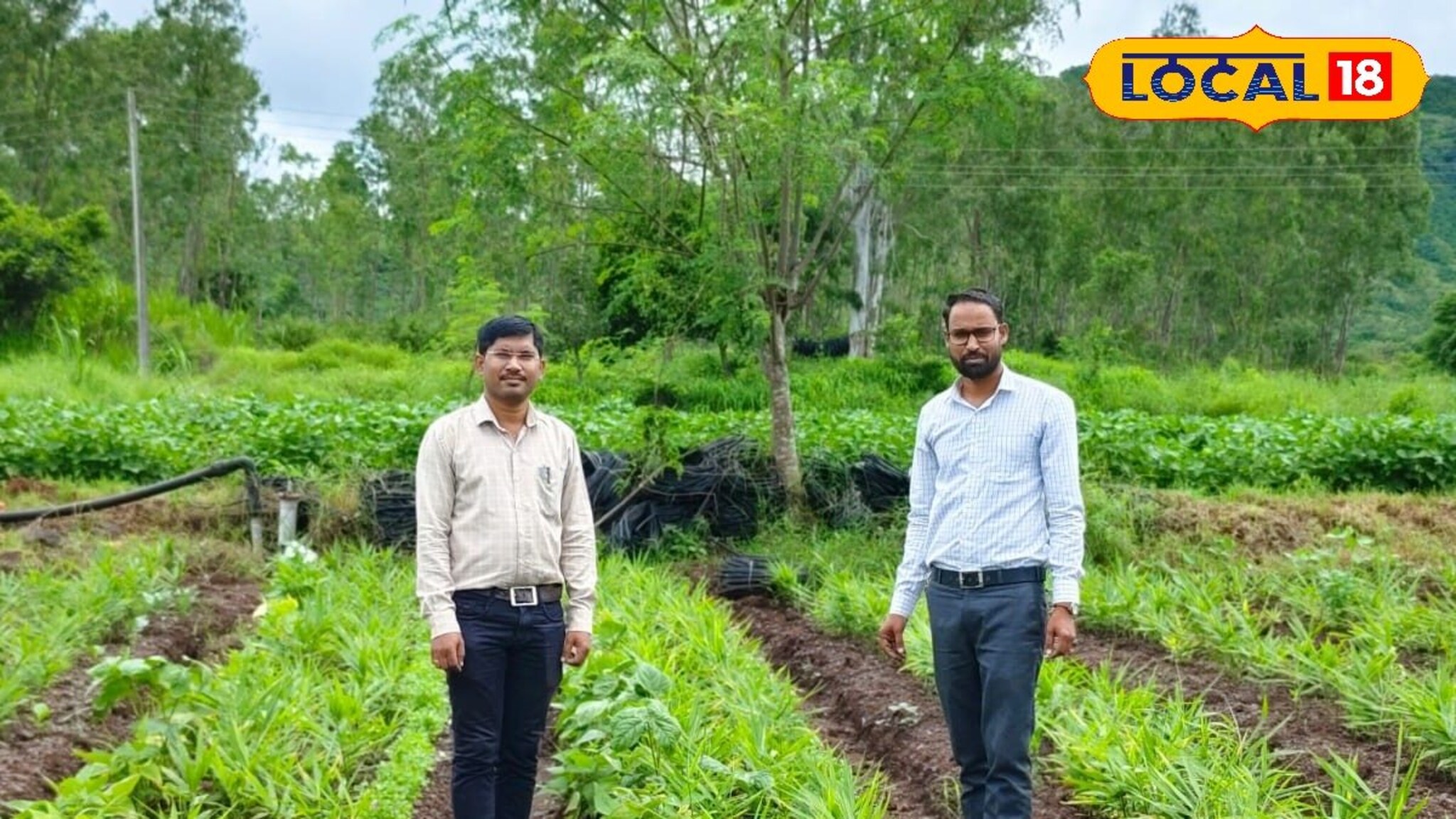 साताऱ्यातील शेतकरी शेती प्रॉडक्ट्सची करतो 9 राज्यांमध्ये विक्री, वर्षाला करतोय 30 लाखांची कमाई