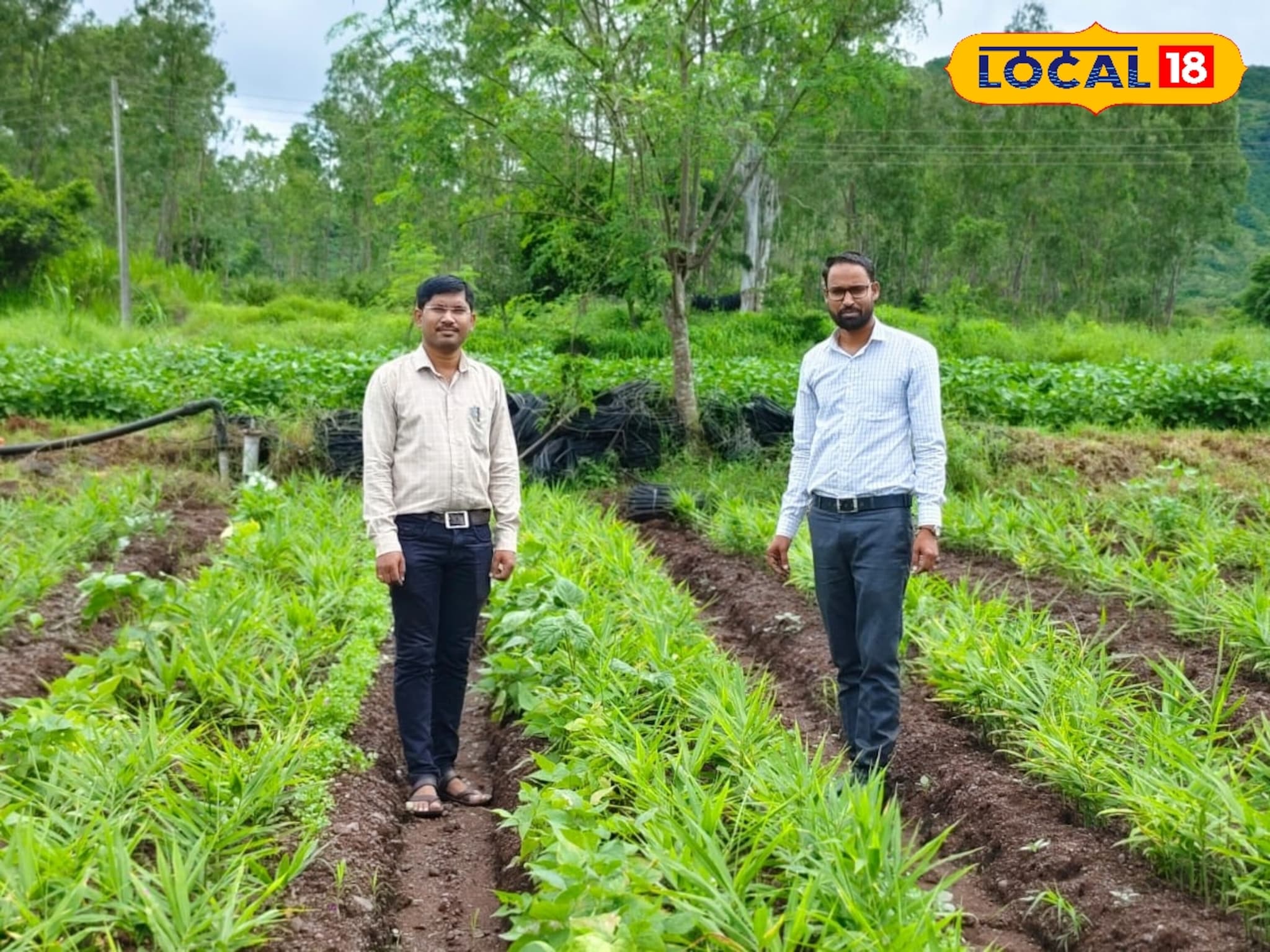 साताऱ्यातील शेतकरी शेती प्रॉडक्ट्सची करतो 9 राज्यांमध्ये विक्री, वर्षाला करतोय 30 लाखांची कमाई
