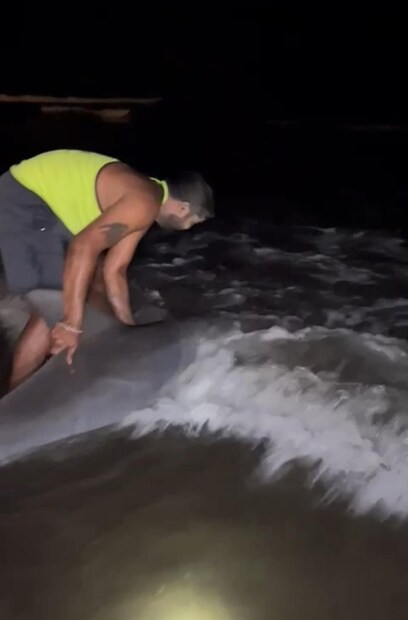 कोकणकरांना याची माहिती झाली. निसर्गप्रेमी संकेत हेदूकर या डॉल्फिनसाठी धावून आले.