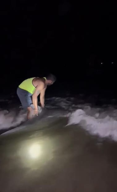 दापोली तालुक्यातील तामसतीर्थ बीचवर हा डॉल्फिन मासा समुद्राबाहेर पडून होता.