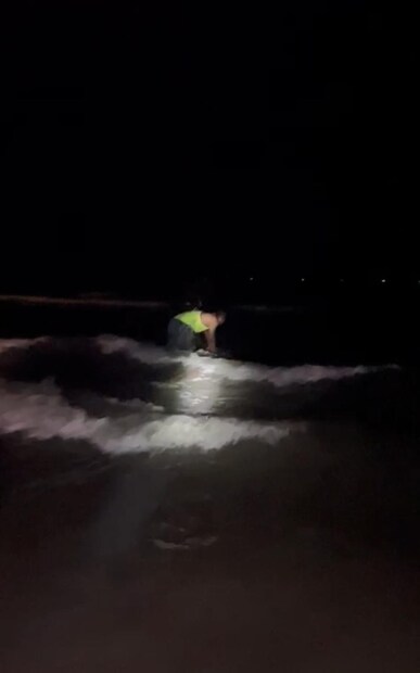 संकेत हेदूकर यांनी डॉल्फिन ला आपल्या हातांनी ढकलत समुद्राच्या पाण्यात नेलं. पुन्हा समुद्रात सोडून जीवदान दिलं.